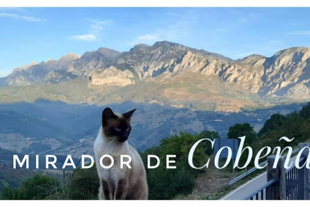 El Mirador De Cobena Ii. Aires De Liebana En Picos Leilighet Eksteriør bilde